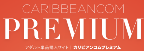 無修正動画の宝庫カリビアンコムプレミアム全ジャンルを網羅した4,000本以上の動画の中からお好きな作品が購入できる数少ないペーパービュー（単品購入）サイト。お客様のニーズにあった作品をマッチさせ、継続率が期待できるサイトです。宝箱、福袋と言ったお得なキャンペーンが人気。