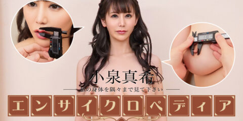 セクシー女優エンサイクロペディア 小泉真希